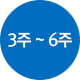 3~6주